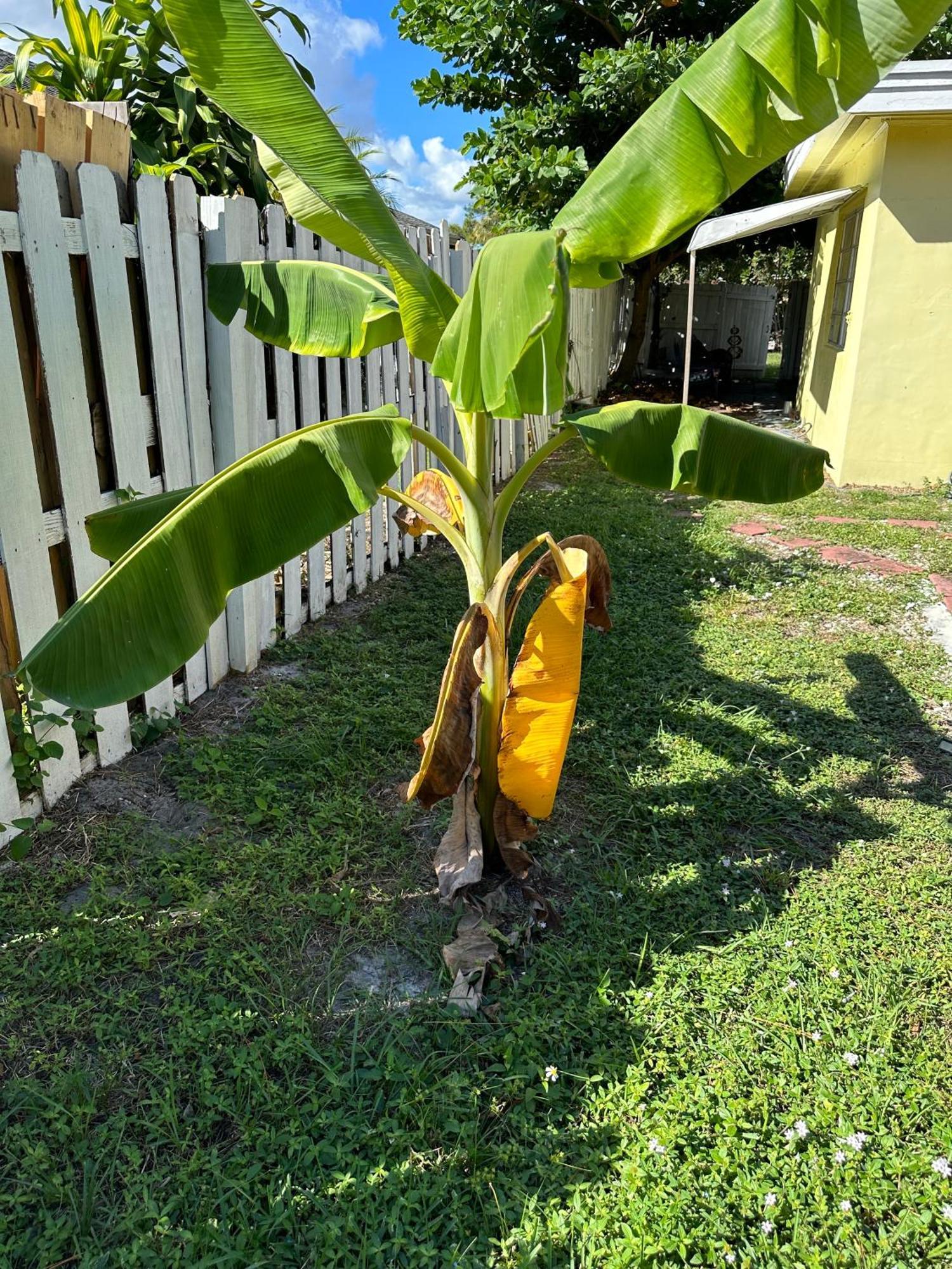 3 Bedroom House Fenced Backyard Private Patio Areas Grill Firepit Plenty Parking! Quick Access 10 Min To Beach Airport Delray West Palm Lake Worth Beach Exteriör bild